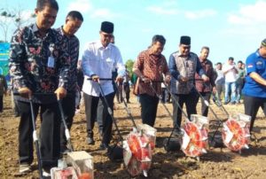Panen raya bukti keberhasilan program Grand Design Alternative Development