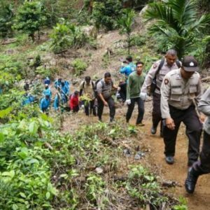 BNN Temukan Tiga Titik Ladang Ganja di Kawasan Hutan Lindung Aceh
