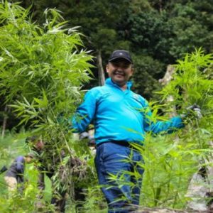 BNN Temukan Tiga Titik Ladang Ganja di Kawasan Hutan Lindung Aceh BNN Temukan Tiga Titik Ladang Ganja di Kawasan Hutan Lindung Aceh