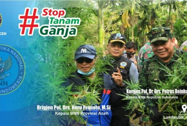 Kenapa Indonesia Menolak Legalisasi Ganja ?
