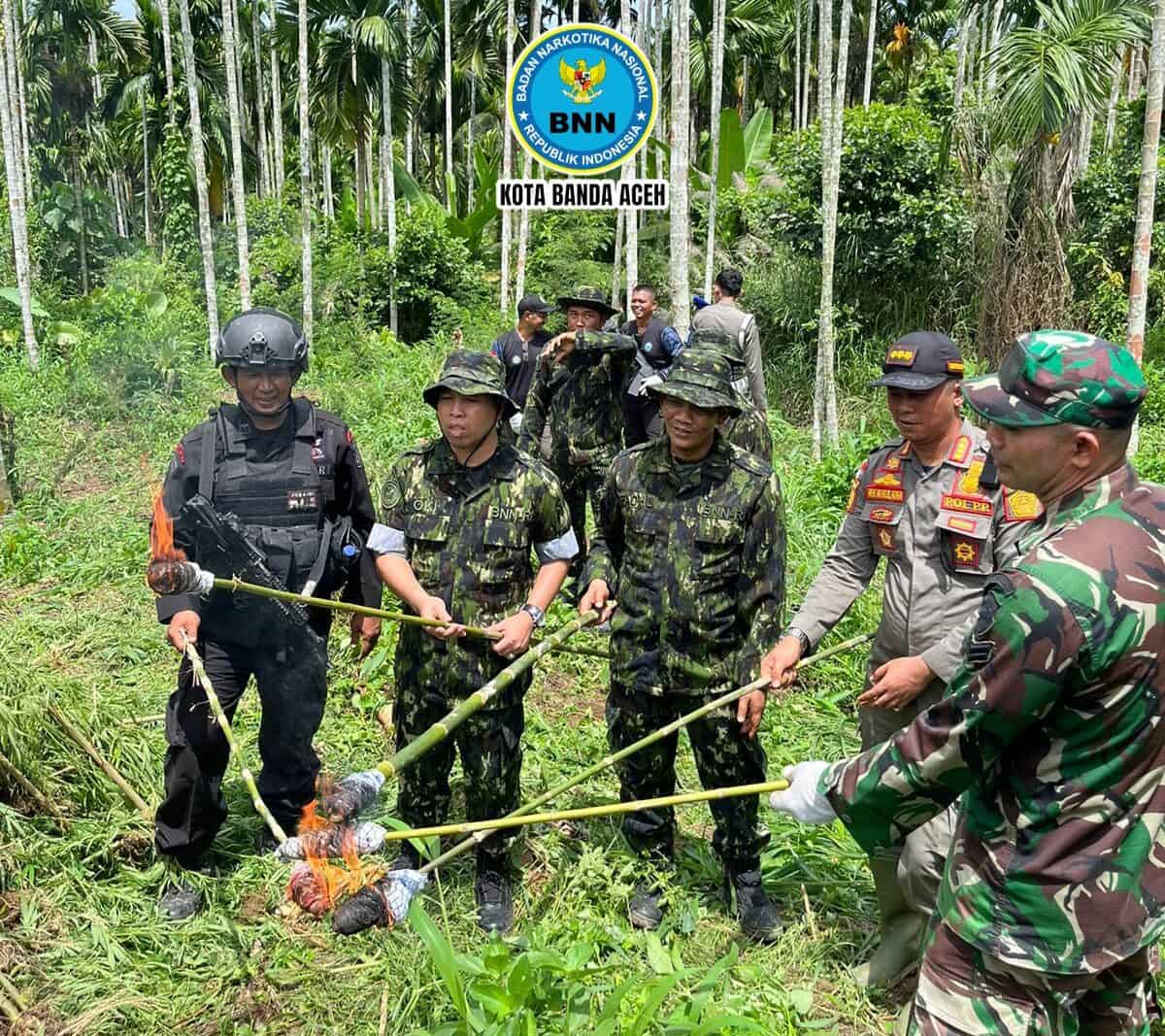 Operasi Pemusnahan Ladang Ganja di Wilayah Hukum Kabupaten Aceh Utara Provinsi Aceh Operasi Pemusnahan Ladang Ganja di Wilayah Hukum Kabupaten Aceh Utara Provinsi Aceh
