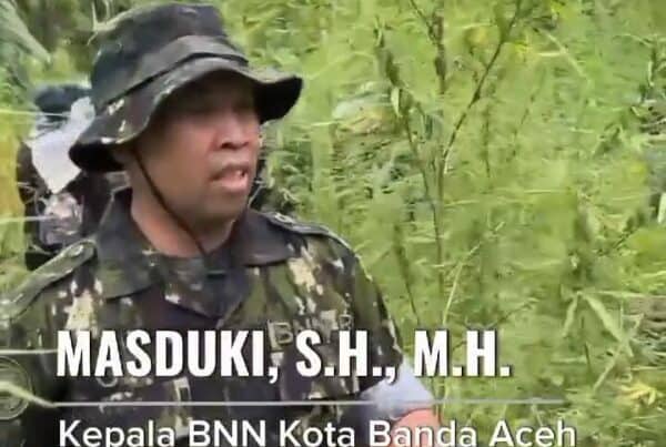 Kepala BNN Kota Banda Aceh beserta Tim Pemberantasan BNN Kota Banda Aceh Mengikuti Kegiatan Operasi Pemusnahan Ladang Ganja